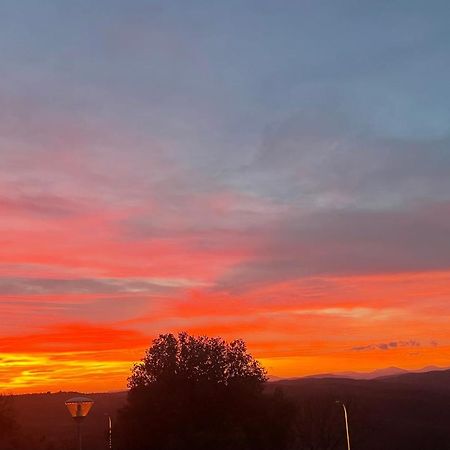 Il Tramonto Lejlighed Montalcino Eksteriør billede