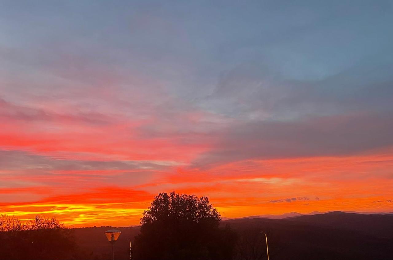 Il Tramonto Lejlighed Montalcino Eksteriør billede