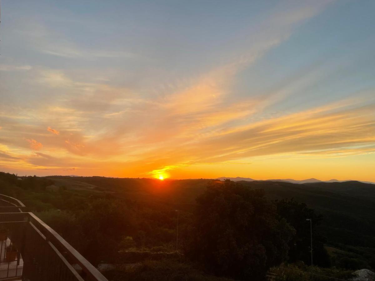 Il Tramonto Lejlighed Montalcino Eksteriør billede